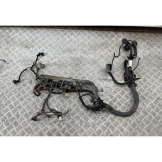 Проводка двигателя (FIAT DUCATO 244 Кузов 2002-2006г + ЕЛАБУГА, 2.0 i, Б/у)