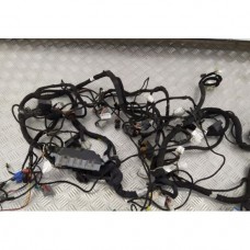 Проводка моторного отсека  (FIAT DUCATO 244 Кузов 2002-2006г + ЕЛАБУГА, 2.0 i, Б/у)